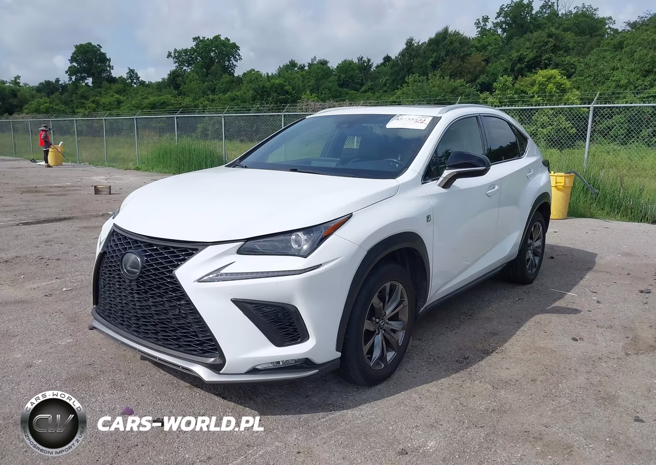 2020 Lexus Nx 300 F Sport VIN:JTJSARBZ4L2166341 - 2
