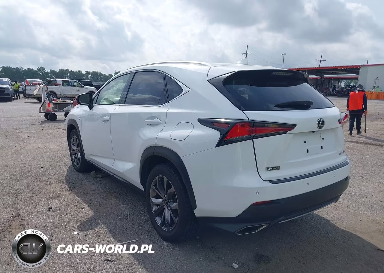 2020 Lexus Nx 300 F Sport VIN:JTJSARBZ4L2166341 - 3
