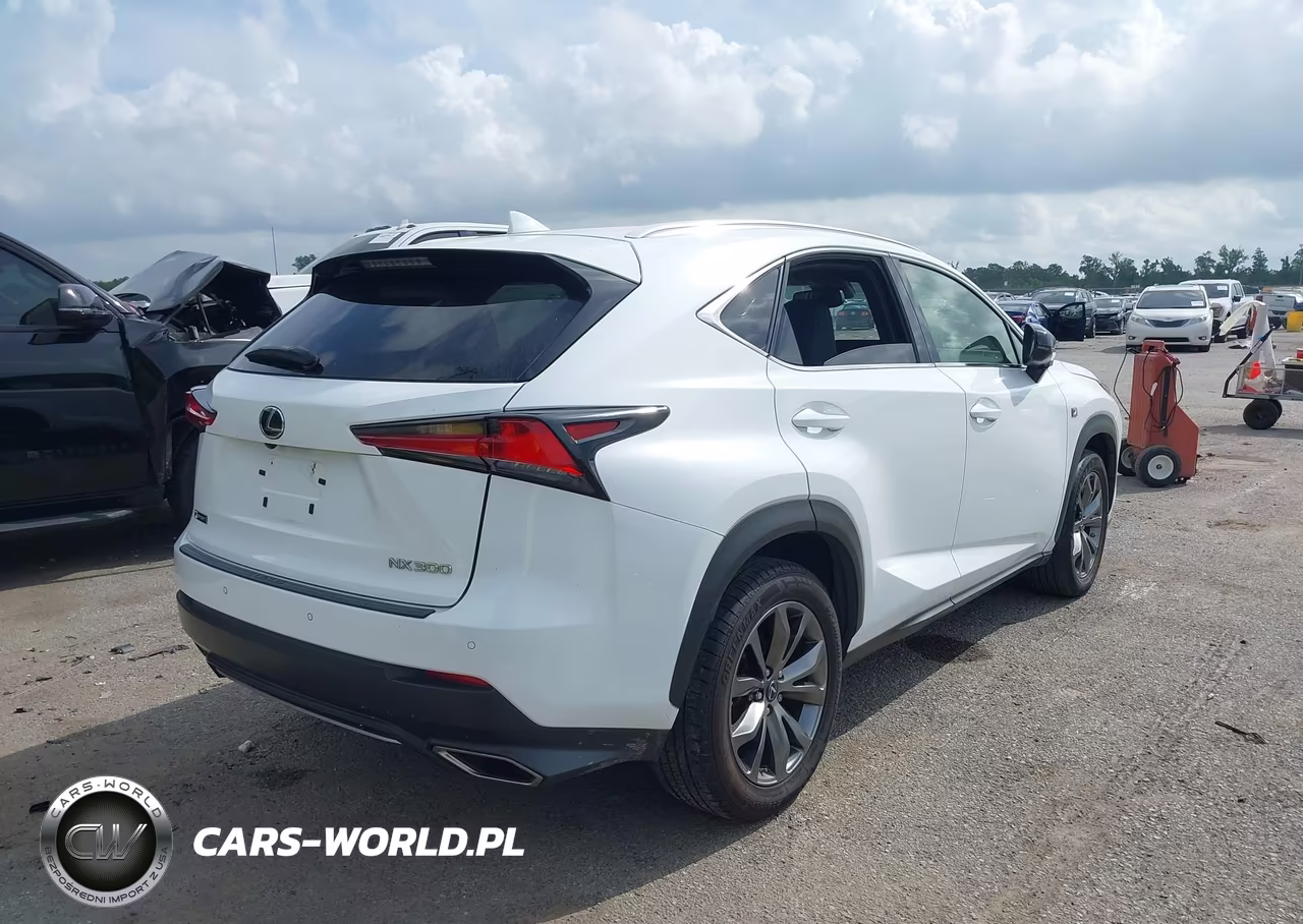 2020 Lexus Nx 300 F Sport VIN:JTJSARBZ4L2166341 - 4