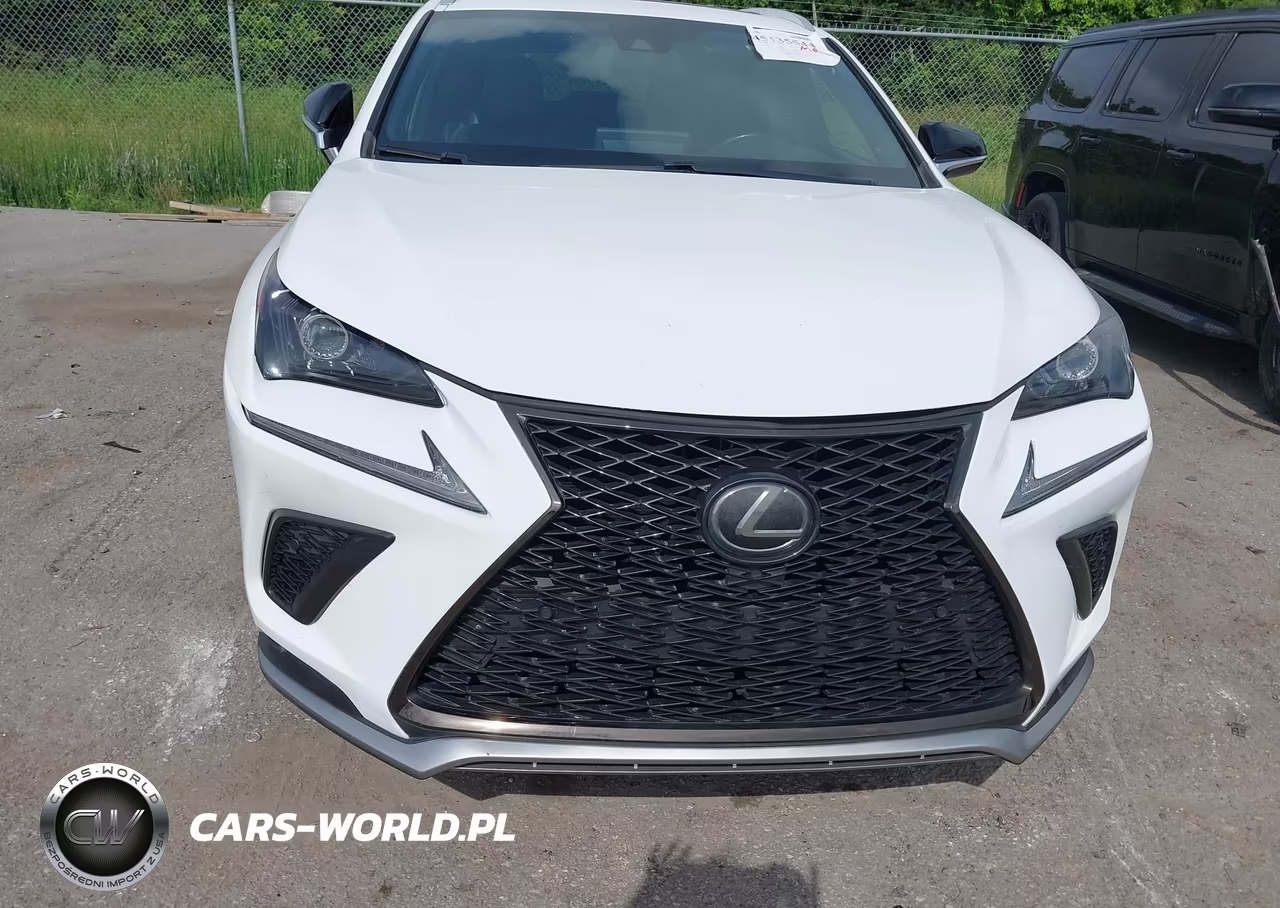 2020 Lexus Nx 300 F Sport VIN:JTJSARBZ4L2166341 - 6