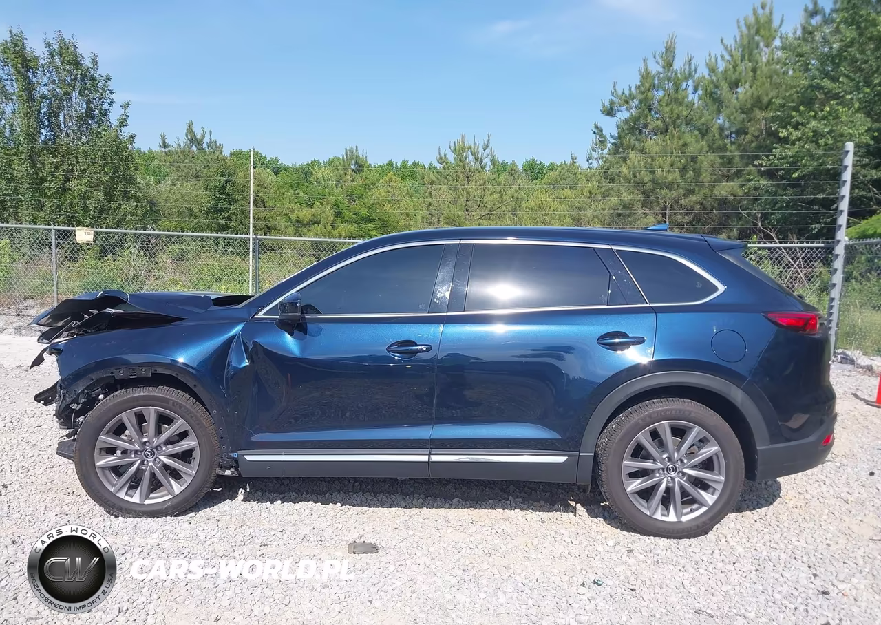 2023 Mazda Cx-9 Grand Touring VIN:JM3TCBDY7P0631295 - 14