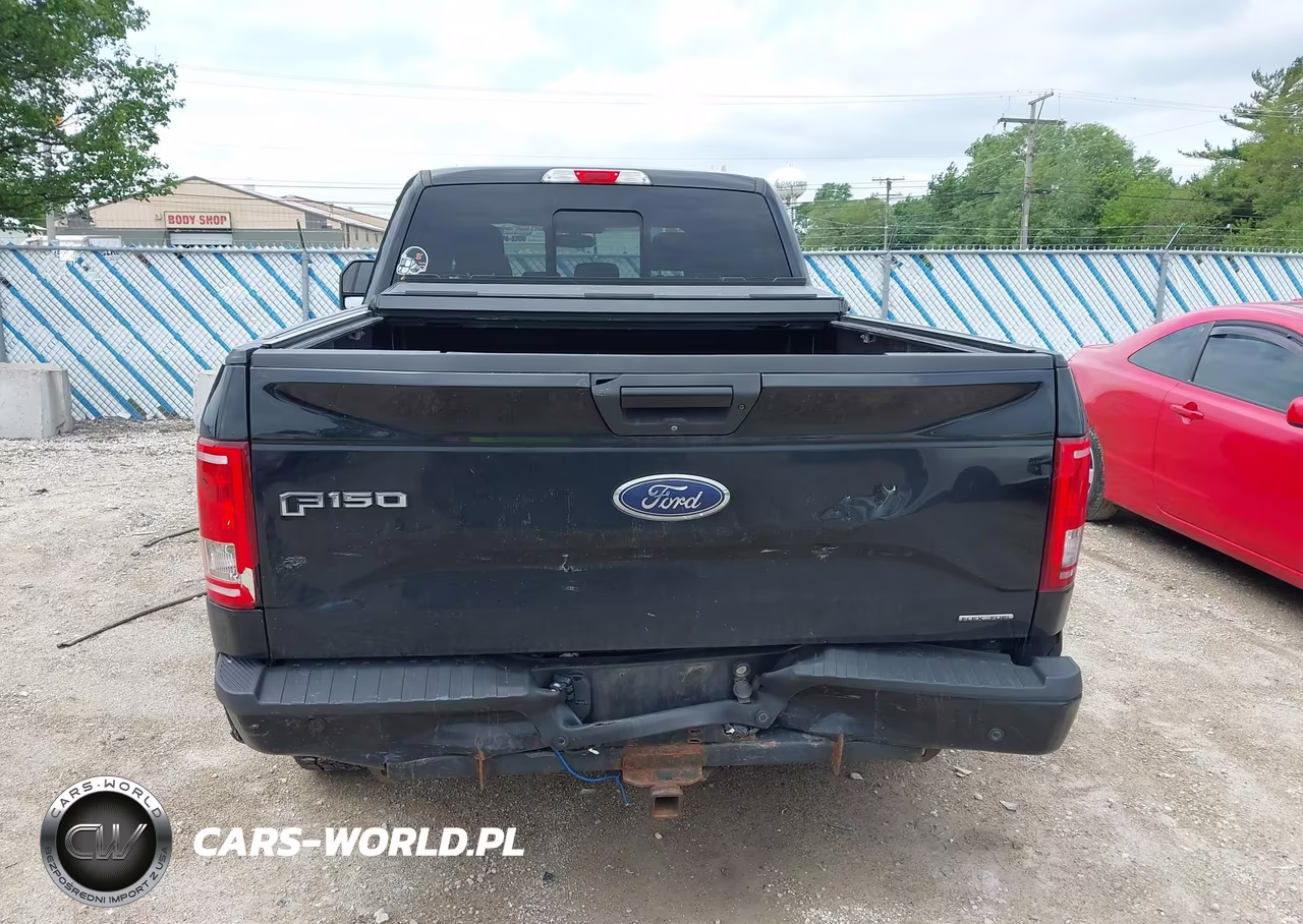2016 Ford F-150 Xlt VIN:1FTFW1EF7GFC92863 - 16