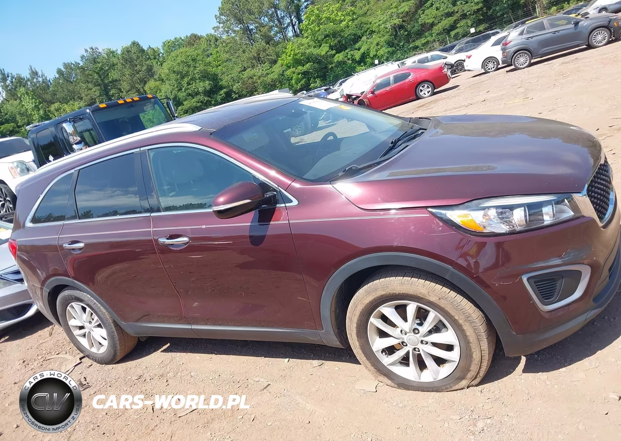 2017 Kia Sorento 2.4L Lx VIN:5XYPG4A34HG271319 - 13