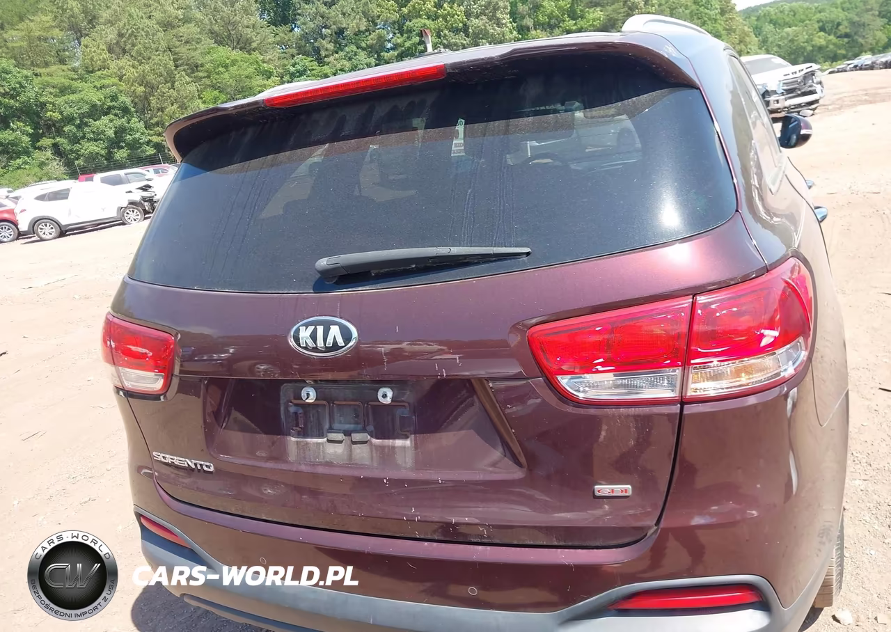 2017 Kia Sorento 2.4L Lx VIN:5XYPG4A34HG271319 - 16