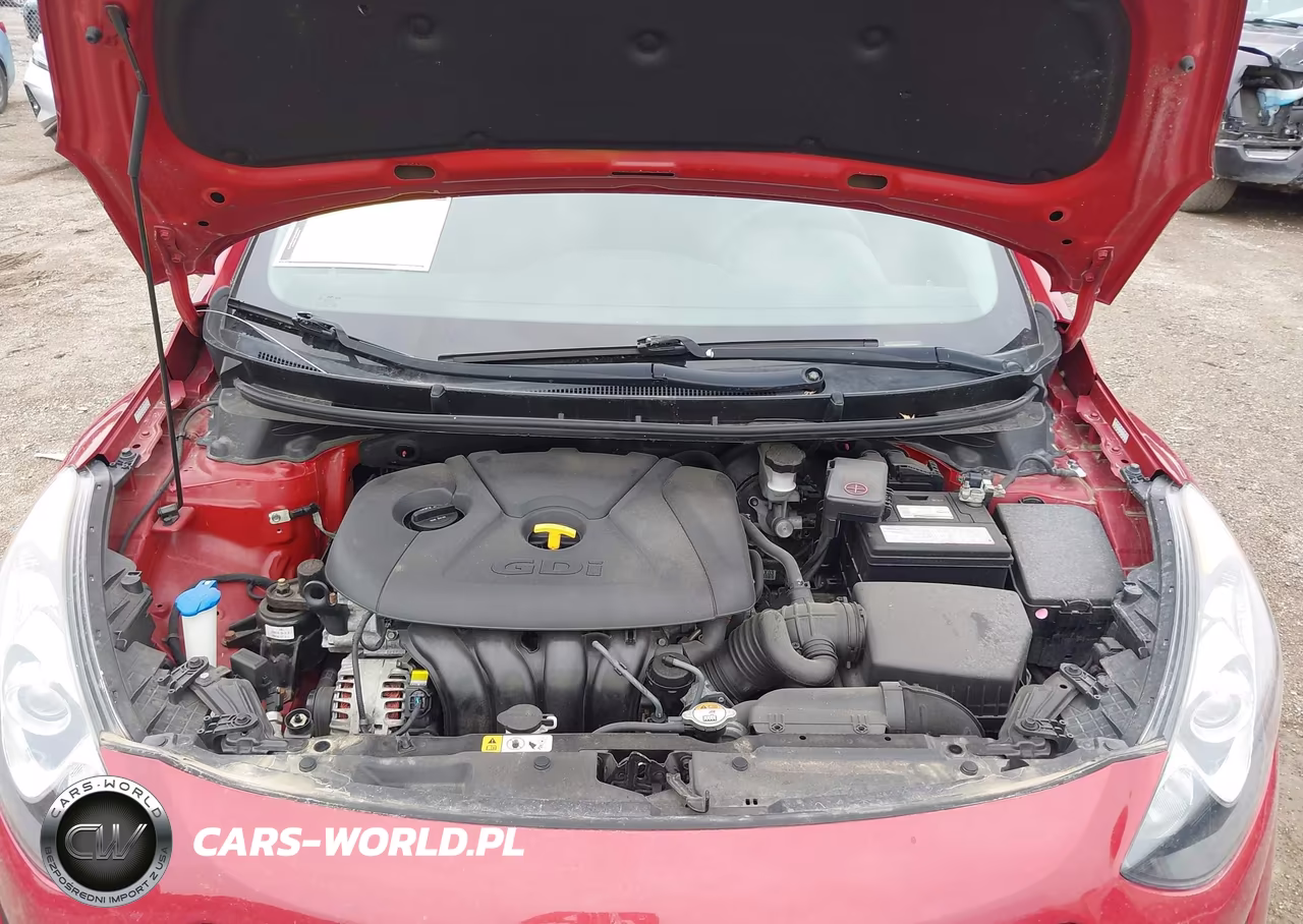 2016 Hyundai Elantra Gt VIN:KMHD35LH8GU319345 - 10