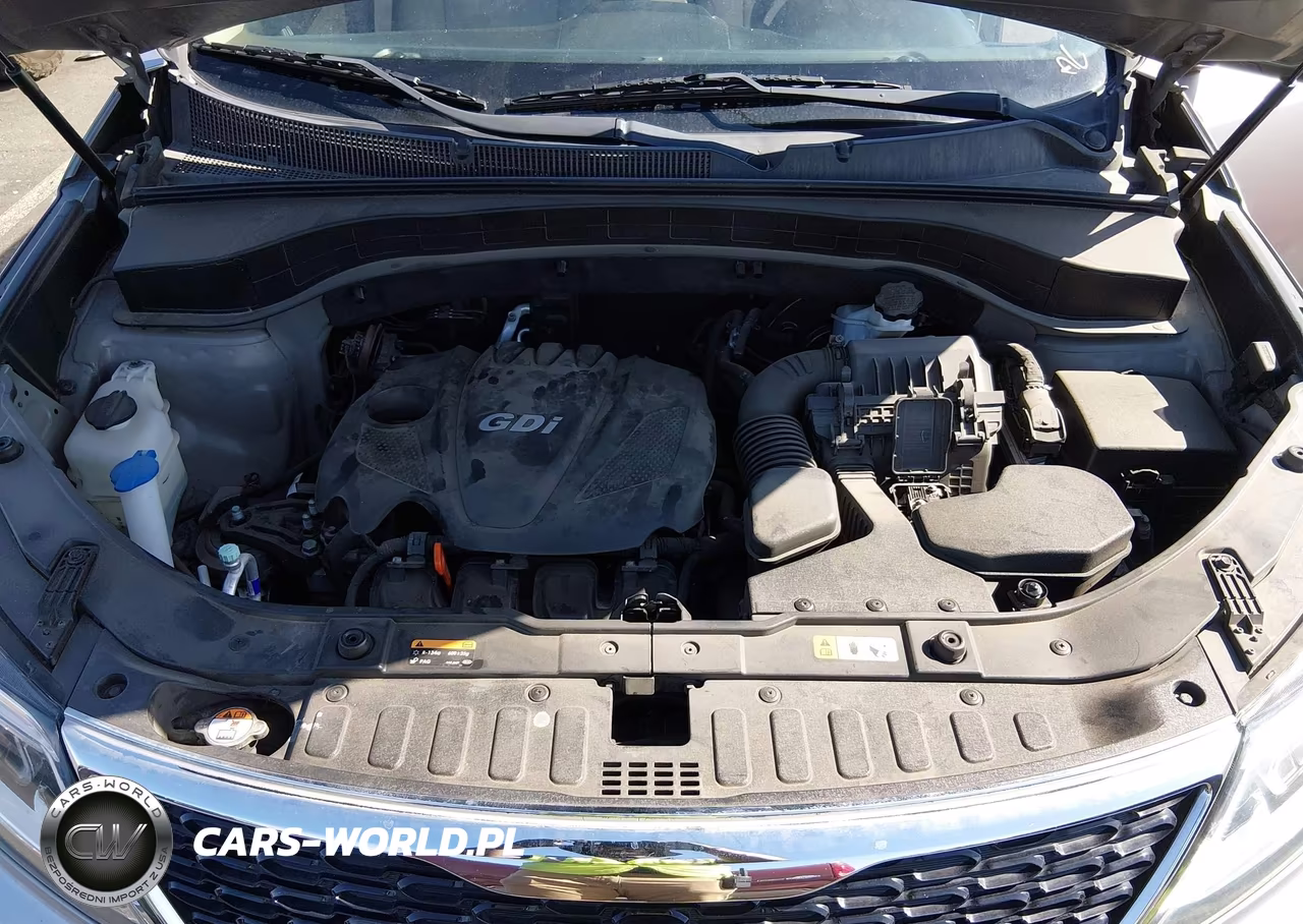 2014 Kia Sorento Lx VIN:5XYKT3A63EG550265 - 10