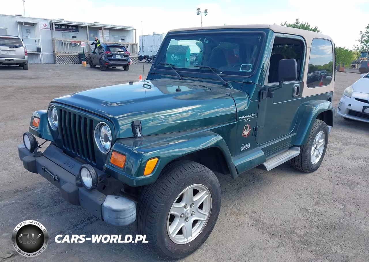 2001 Jeep Wrangler Sahara VIN:1J4FA59S81P306116 - 2