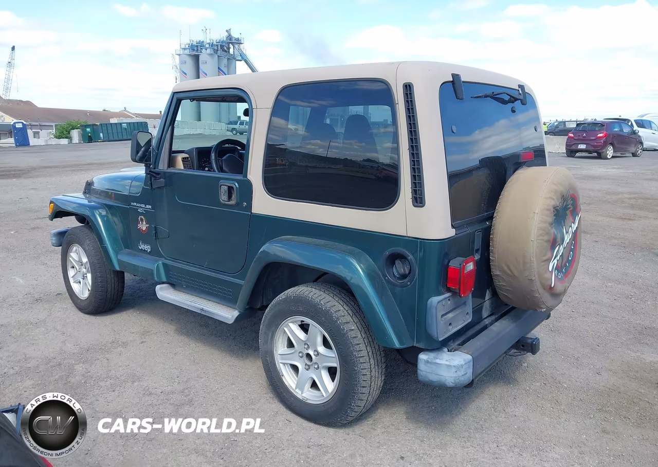 2001 Jeep Wrangler Sahara VIN:1J4FA59S81P306116 - 3
