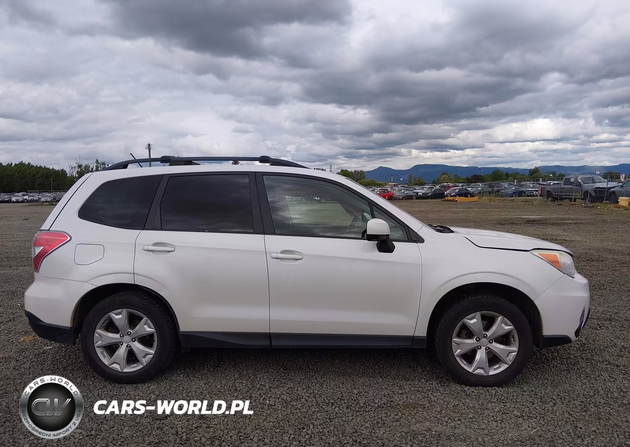 2014 Subaru Forester 2.5I-2.5I Premium VIN:JF2SJCBC5EH533809 - 13
