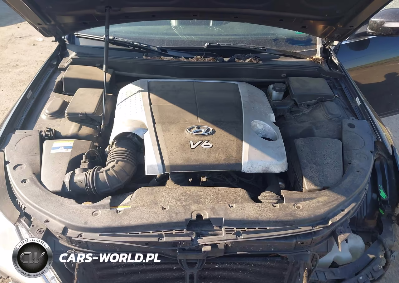 2011 Hyundai Genesis 3.8 VIN:KMHGC4DE8BU122342 - 10