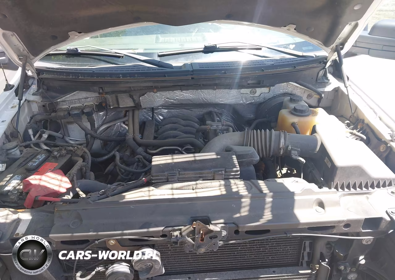 2013 Ford F-150 Xl VIN:1FTFX1CF9DKF15441 - 10