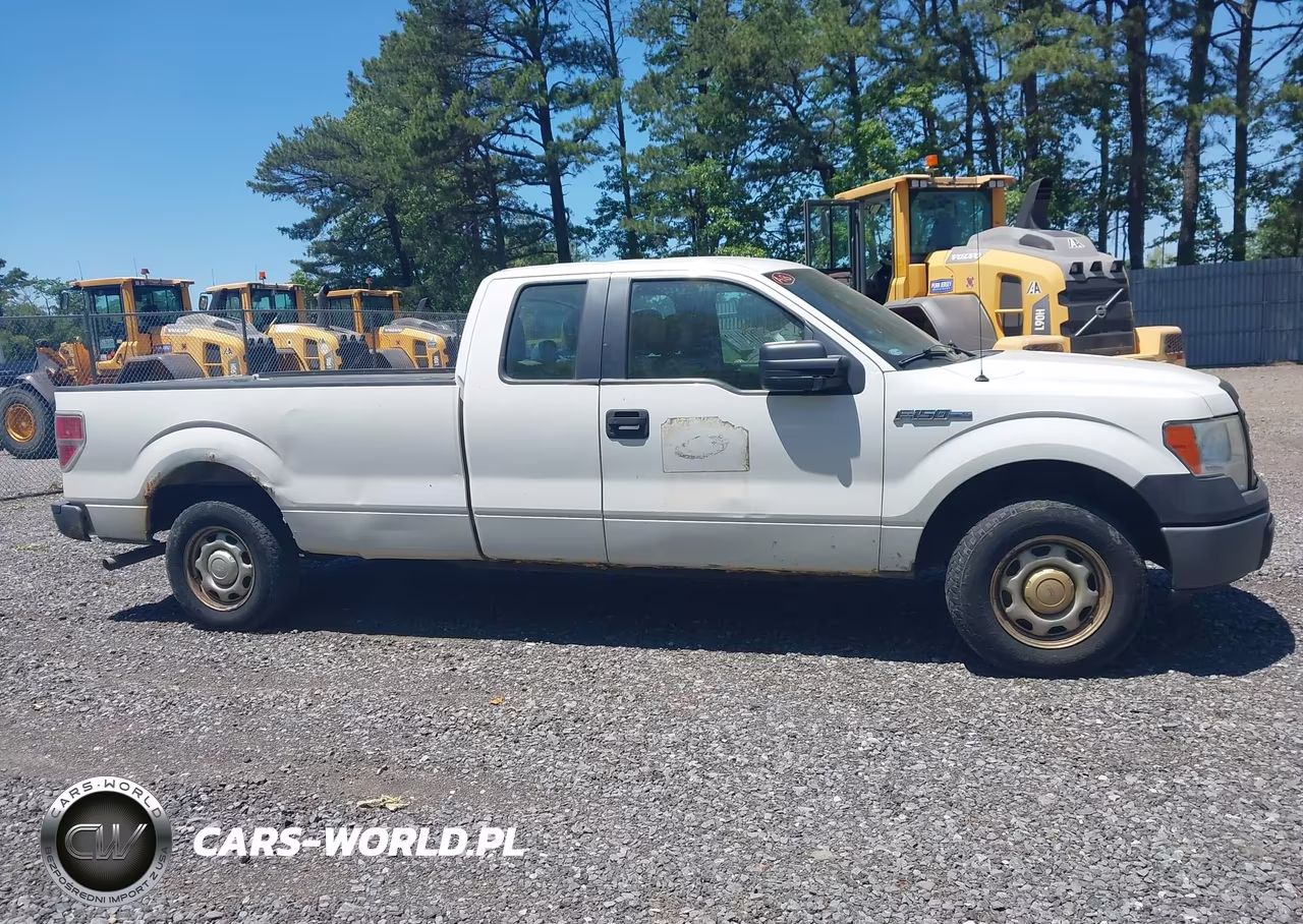 2013 Ford F-150 Xl VIN:1FTFX1CF9DKF15441 - 13
