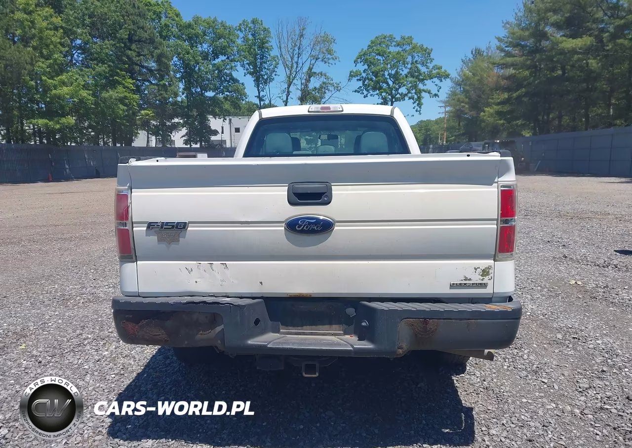 2013 Ford F-150 Xl VIN:1FTFX1CF9DKF15441 - 16
