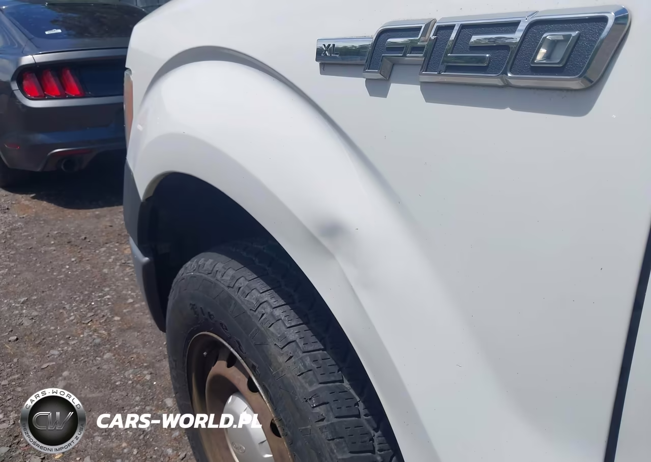 2013 Ford F-150 Xl VIN:1FTFX1CF9DKF15441 - 18