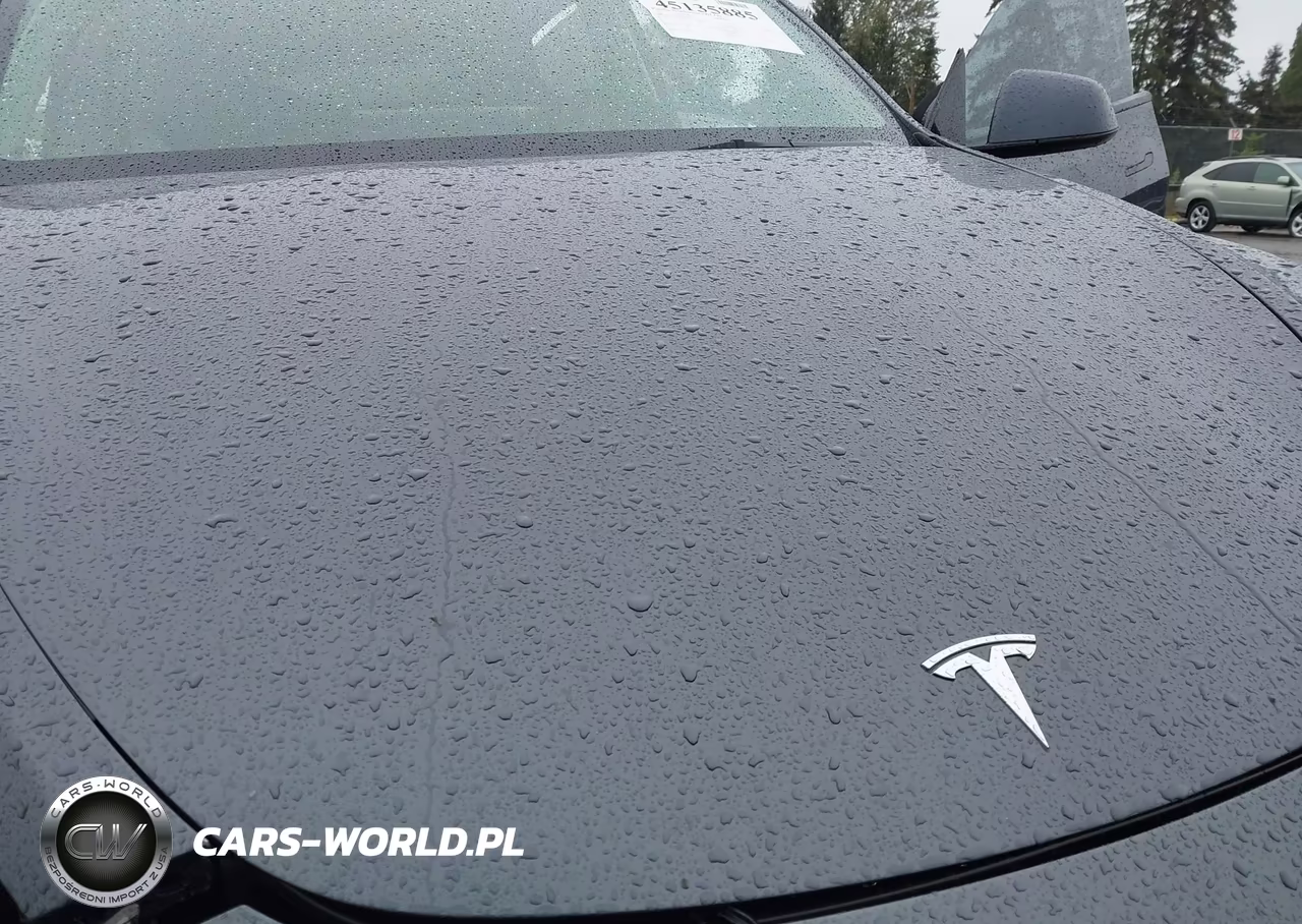 2023 Tesla Model Y Awd-Long Range Dual Motor All-Wheel Drive VIN:7SAYGDEE4PF815472 - 10