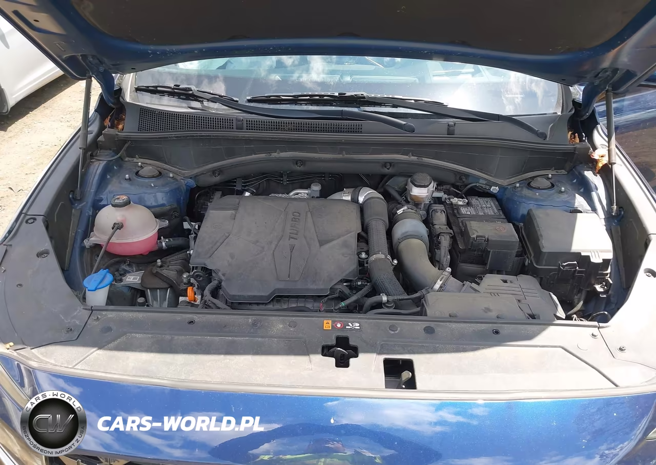 2022 Hyundai Santa Fe Calligraphy VIN:5NMS5DAL6NH453041 - 10