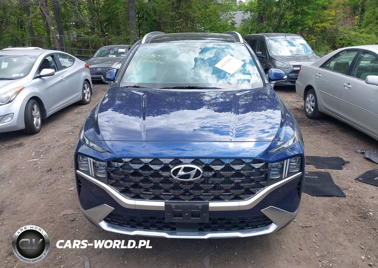 2022 Hyundai Santa Fe Calligraphy VIN:5NMS5DAL6NH453041 - 12