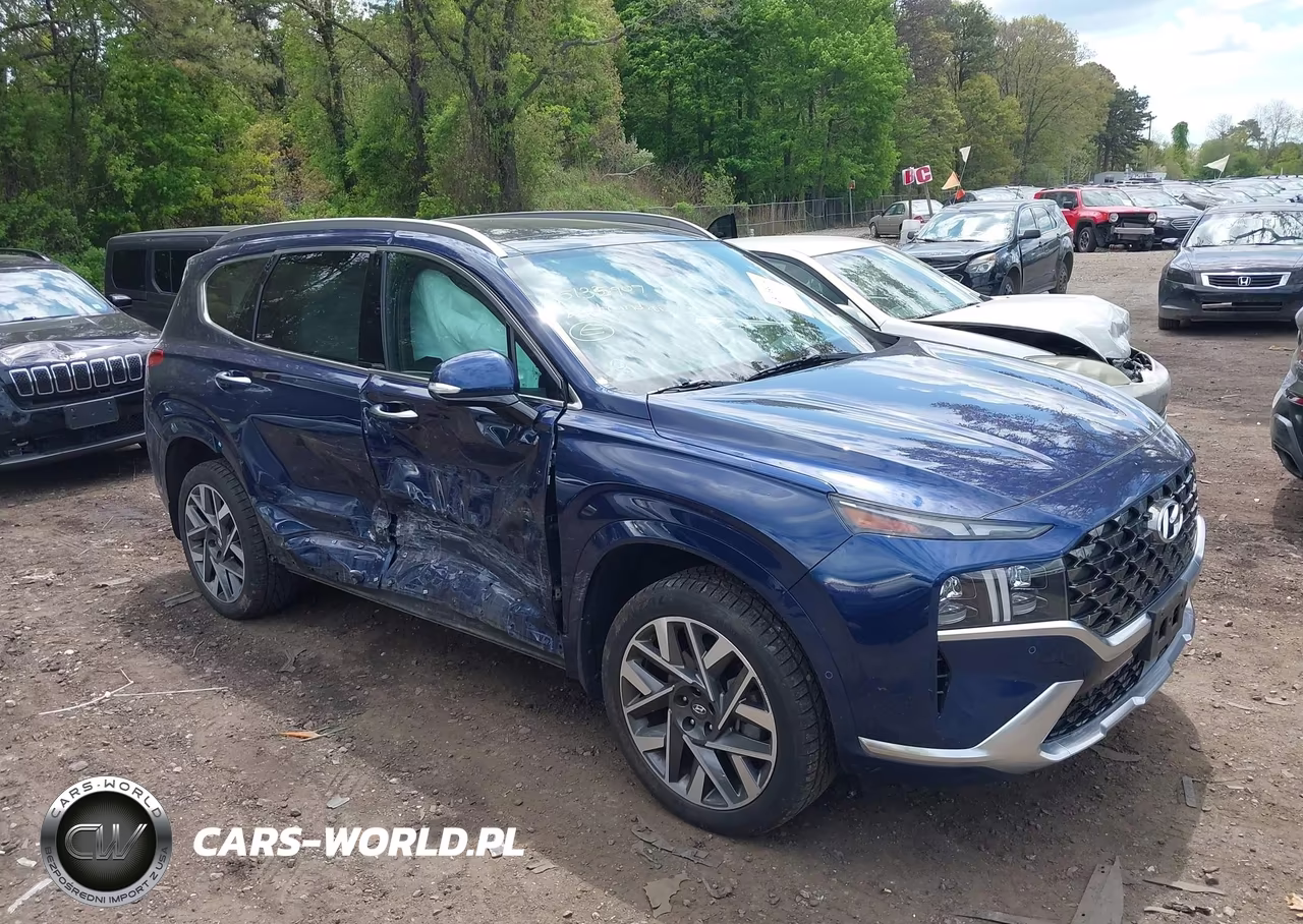 2022 Hyundai Santa Fe Calligraphy VIN:5NMS5DAL6NH453041 - 13