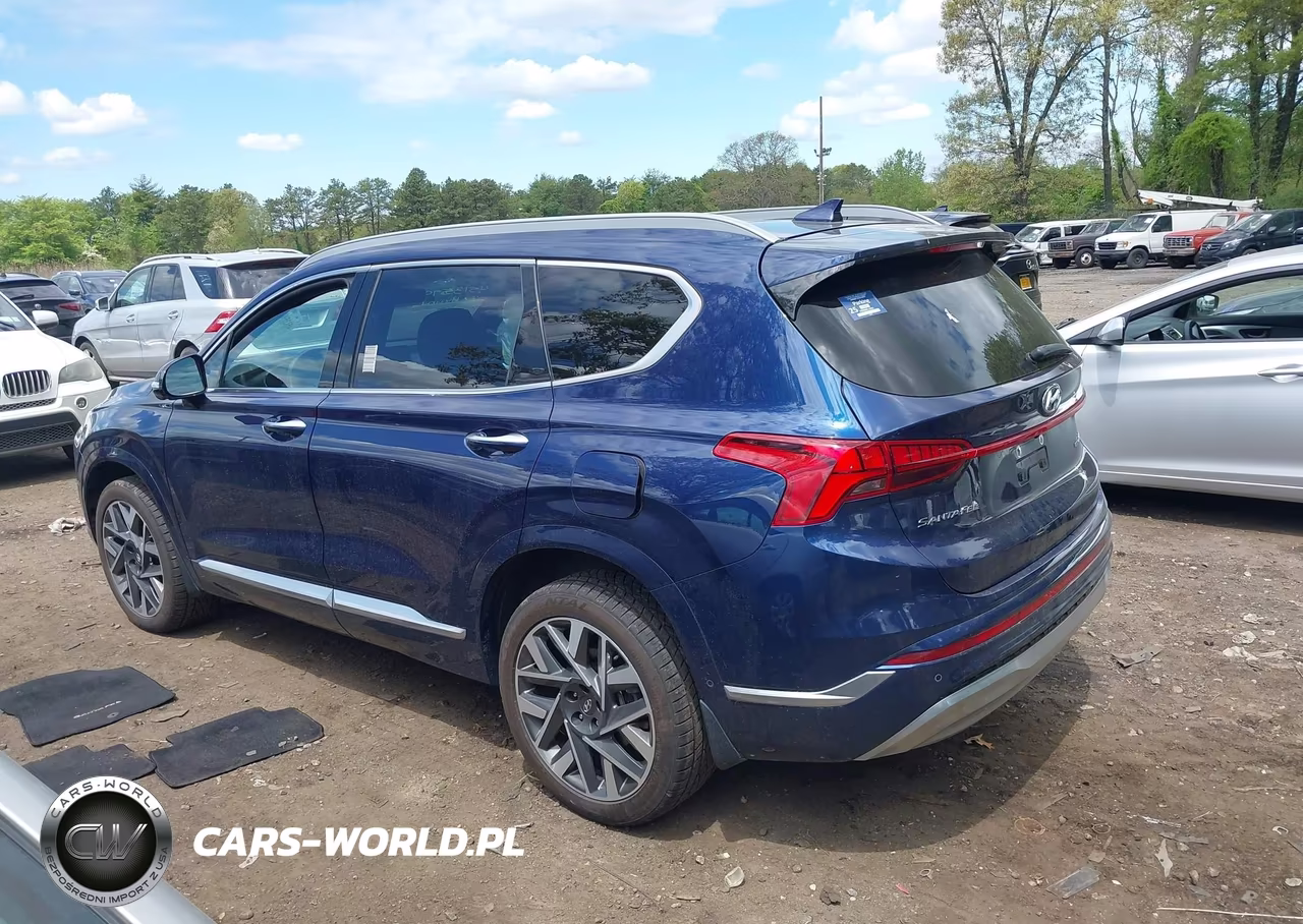2022 Hyundai Santa Fe Calligraphy VIN:5NMS5DAL6NH453041 - 14