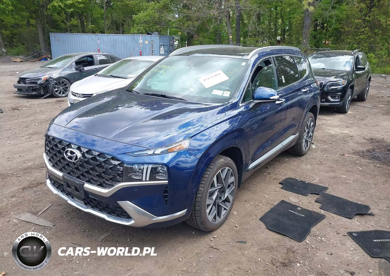 2022 Hyundai Santa Fe Calligraphy VIN:5NMS5DAL6NH453041 - 2