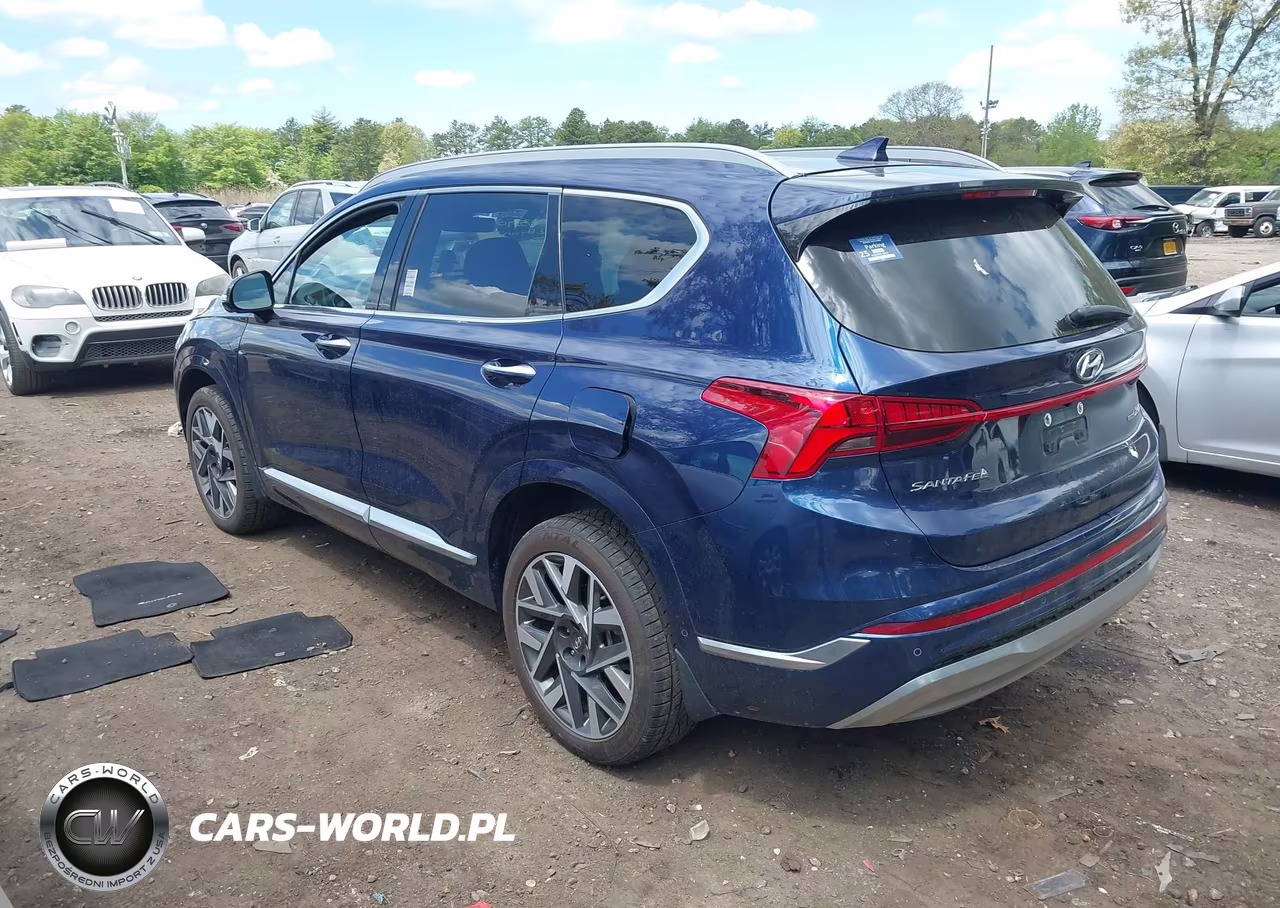 2022 Hyundai Santa Fe Calligraphy VIN:5NMS5DAL6NH453041 - 3