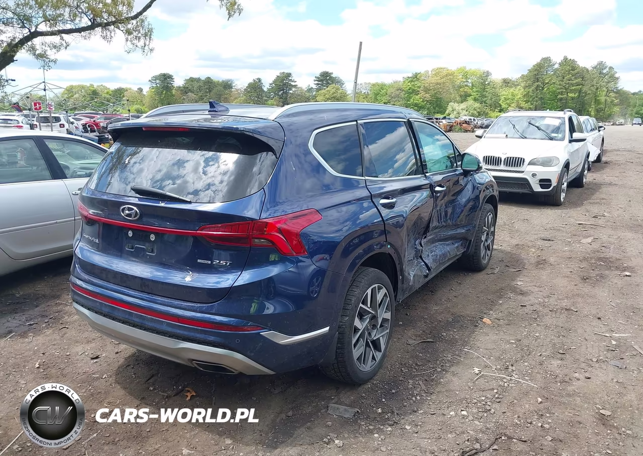 2022 Hyundai Santa Fe Calligraphy VIN:5NMS5DAL6NH453041 - 4