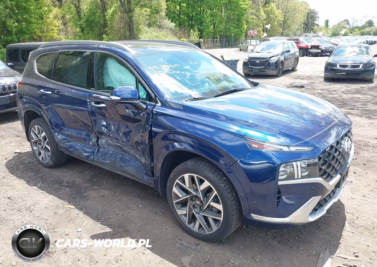 2022 Hyundai Santa Fe Calligraphy VIN:5NMS5DAL6NH453041 - 6
