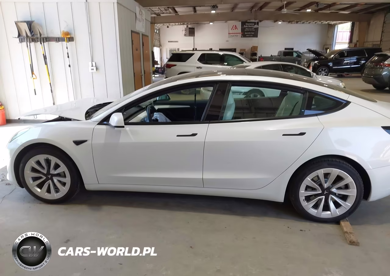 2023 Tesla Model 3 Rear-Wheel Drive VIN:5YJ3E1EA5PF511494 - 15