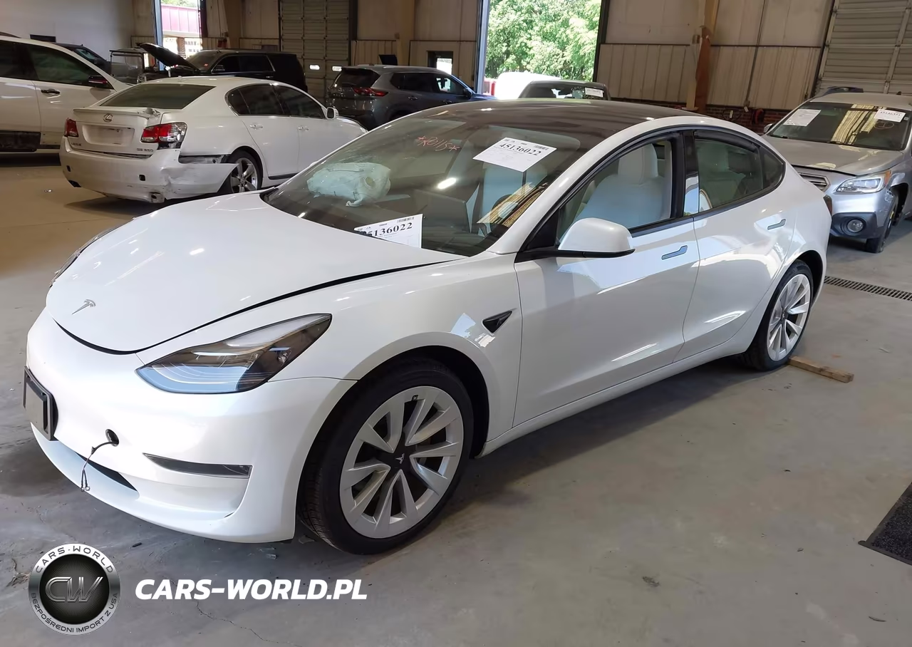 2023 Tesla Model 3 Rear-Wheel Drive VIN:5YJ3E1EA5PF511494 - 2