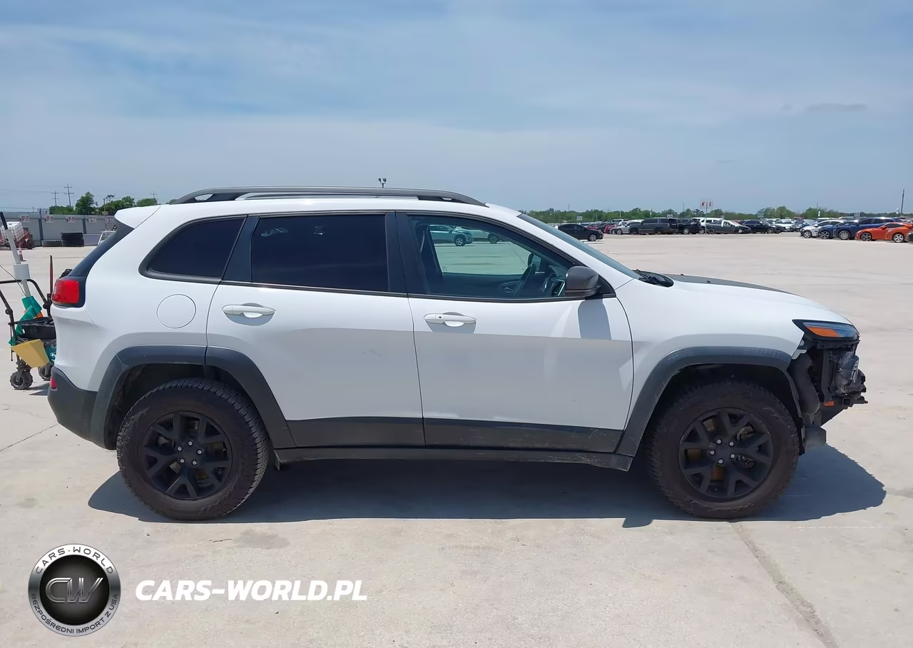 2017 Jeep Cherokee Trailhawk L Plus 4X4 VIN:1C4PJMBS6HW506457 - 14