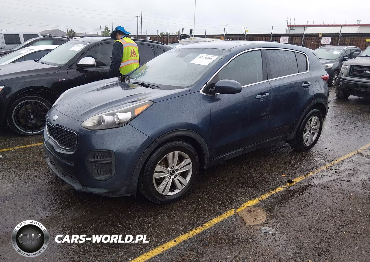 2017 Kia Sportage Lx VIN:KNDPM3AC8H7207381 - 2
