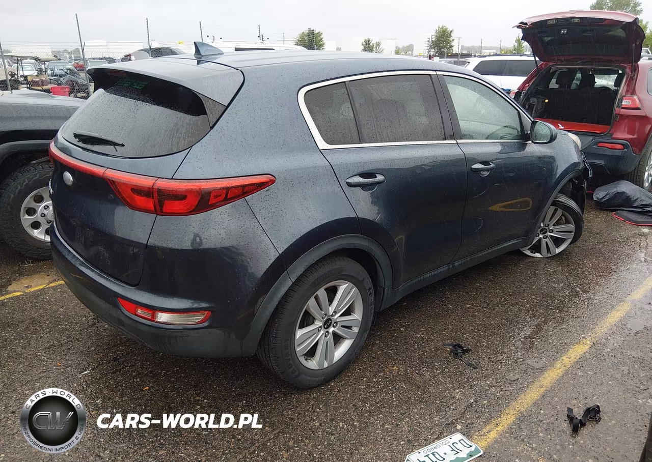 2017 Kia Sportage Lx VIN:KNDPM3AC8H7207381 - 4