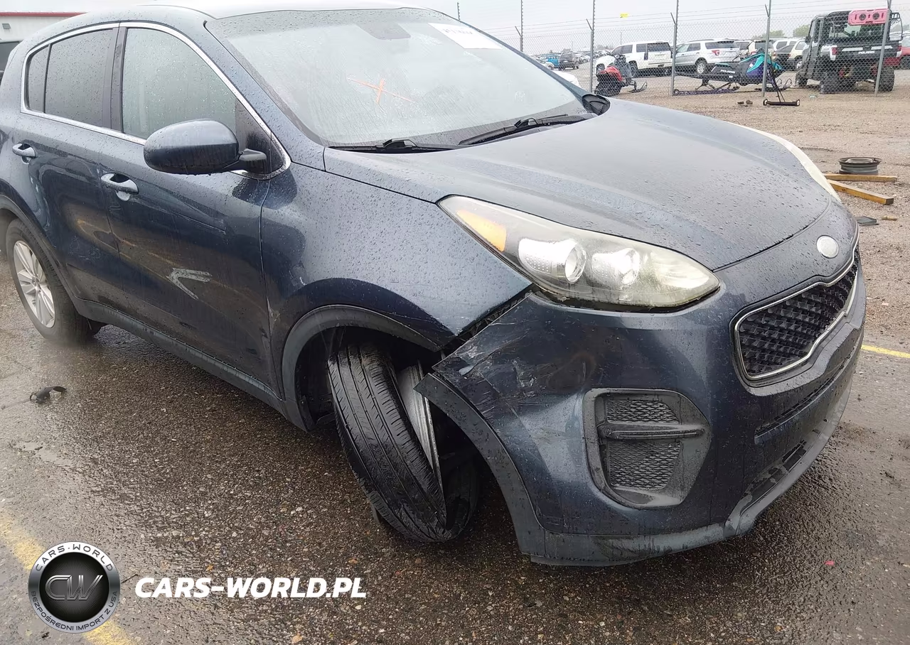 2017 Kia Sportage Lx VIN:KNDPM3AC8H7207381 - 6