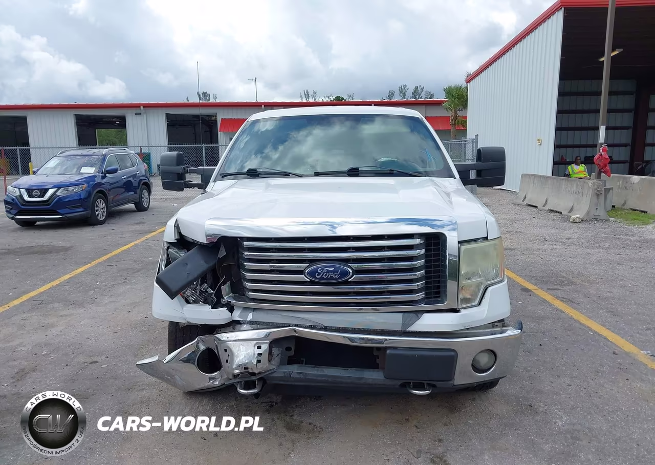2010 Ford F-150 Fx4-Harley-Davidson-King Ranch-Lariat-Platinum-Xl-Xlt VIN:1FTFW1EV3AFB70001 - 12