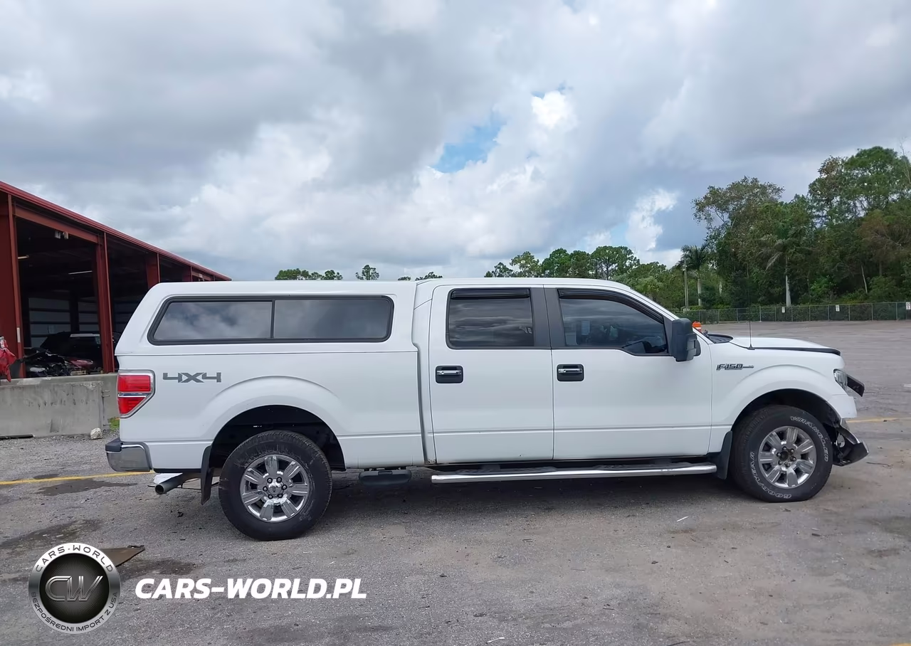 2010 Ford F-150 Fx4-Harley-Davidson-King Ranch-Lariat-Platinum-Xl-Xlt VIN:1FTFW1EV3AFB70001 - 13