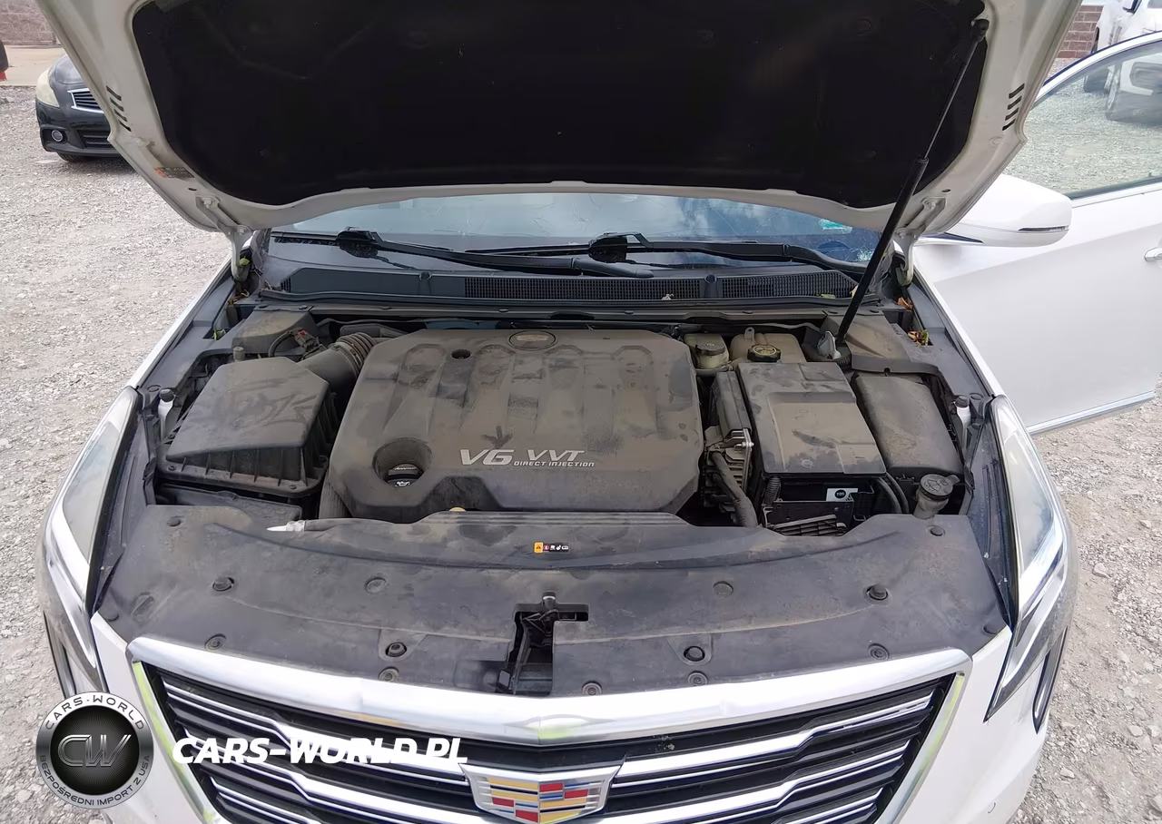 2018 Cadillac Xts Luxury VIN:2G61M5S32J9118624 - 10