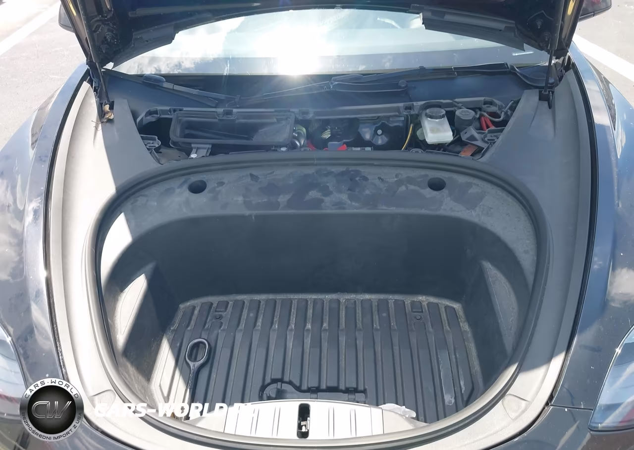 2023 Tesla Model 3 Rear-Wheel Drive VIN:5YJ3E1EAXPF664078 - 10