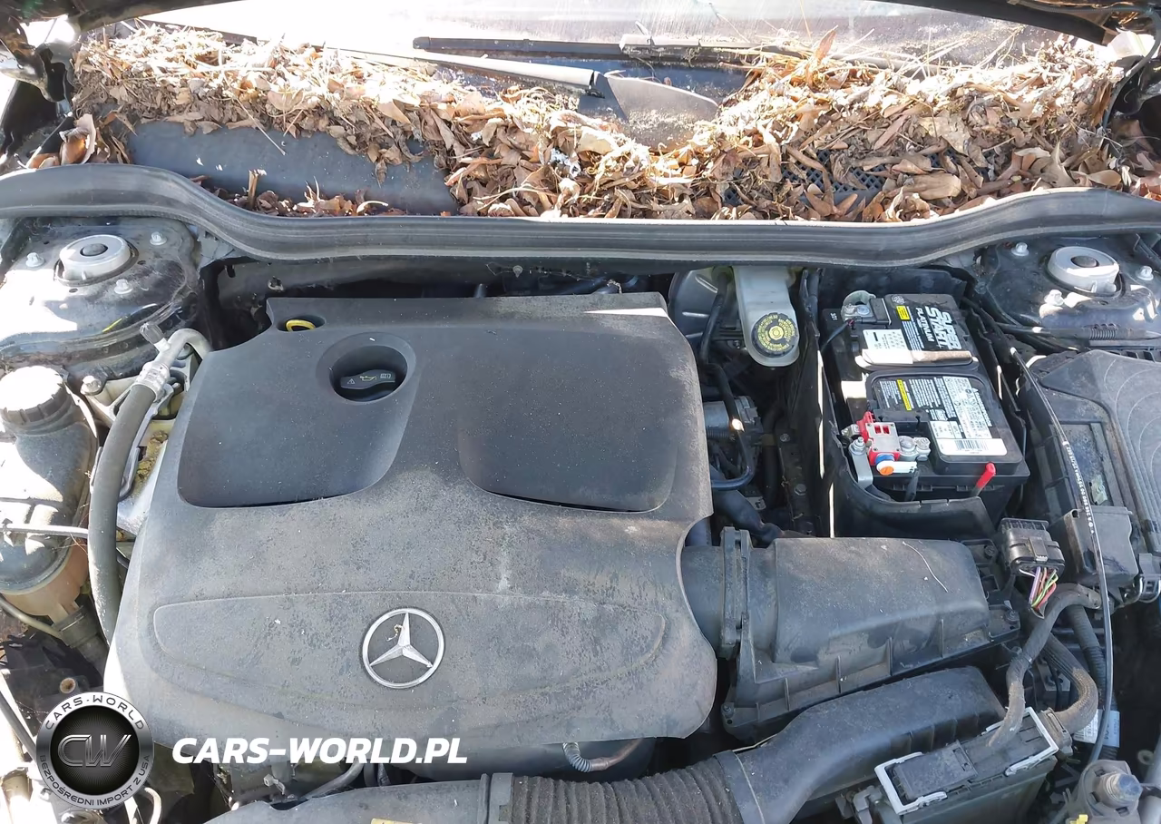 2015 Mercedes-Benz Gla 250 VIN:WDCTG4EB3FJ170330 - 10