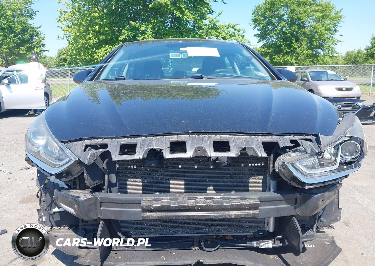 2019 Hyundai Sonata Se VIN:5NPE24AF4KH730719 - 12