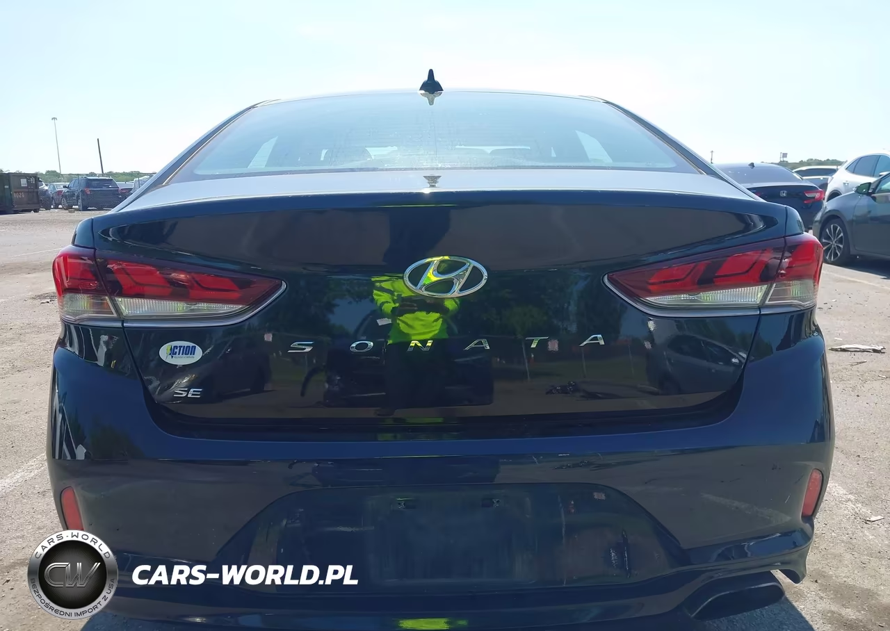 2019 Hyundai Sonata Se VIN:5NPE24AF4KH730719 - 16