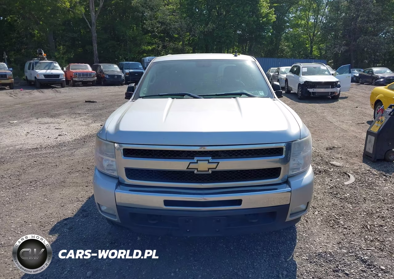 2010 Chevrolet Silverado 1500 Lt VIN:3GCRKSE33AG290277 - 12