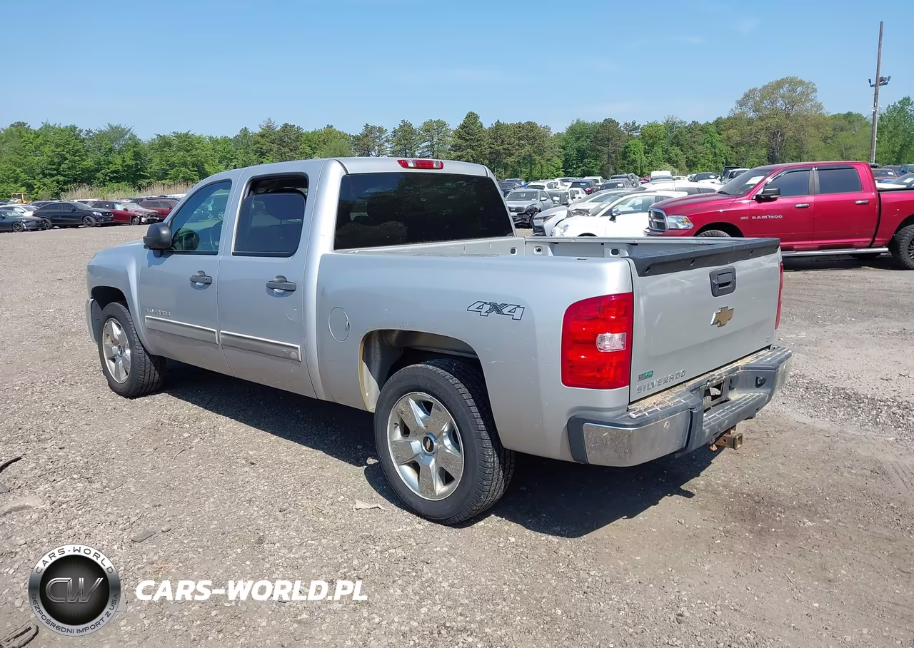 2010 Chevrolet Silverado 1500 Lt VIN:3GCRKSE33AG290277 - 3