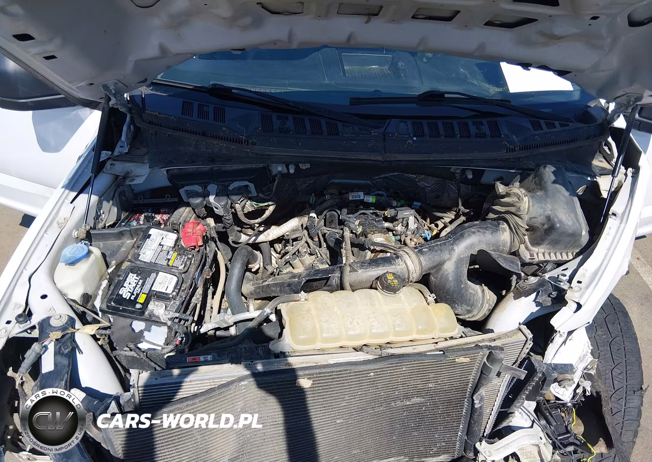 2019 Ford F-150 Xl VIN:1FTEW1CP0KFA17688 - 10