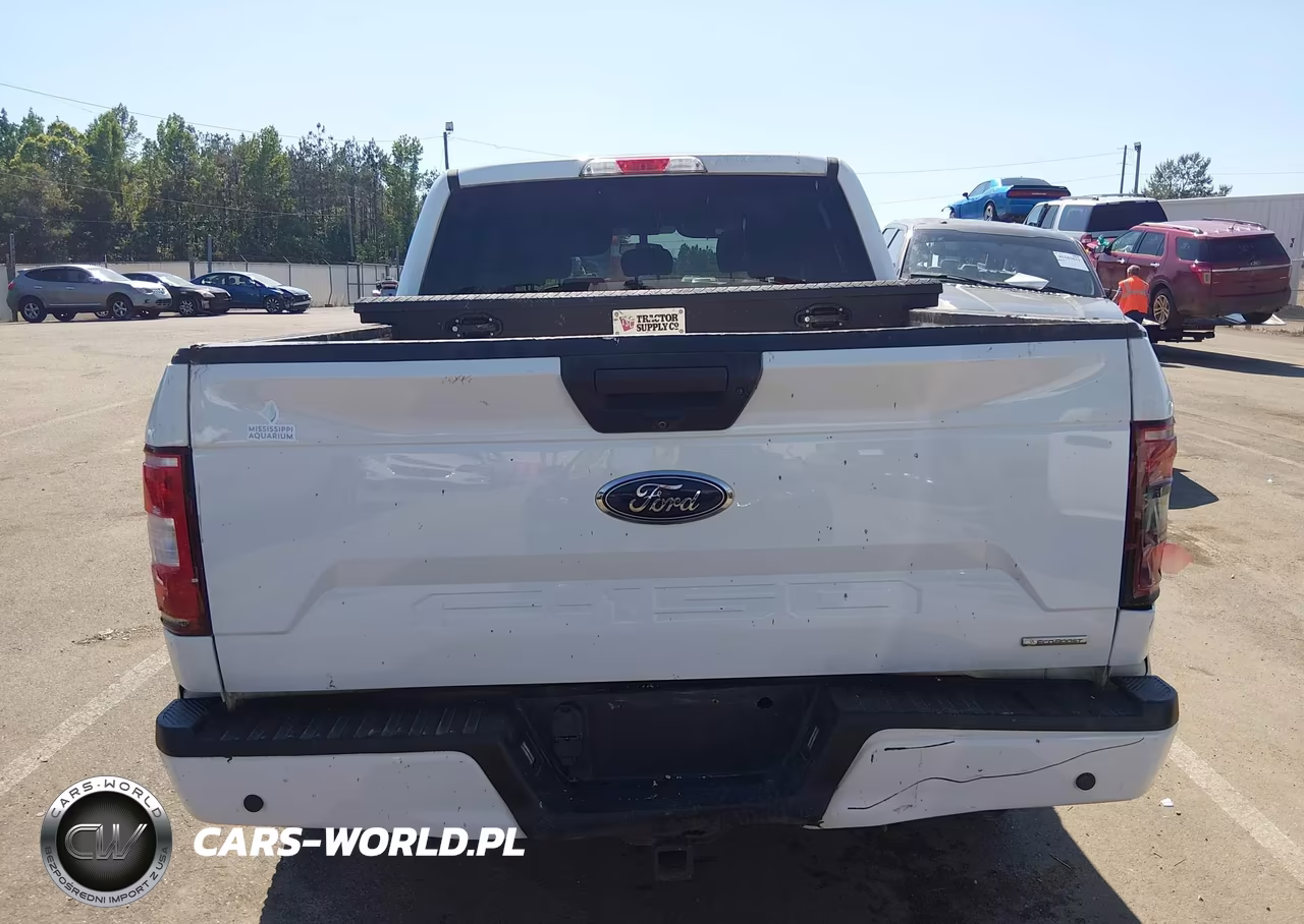 2019 Ford F-150 Xl VIN:1FTEW1CP0KFA17688 - 19