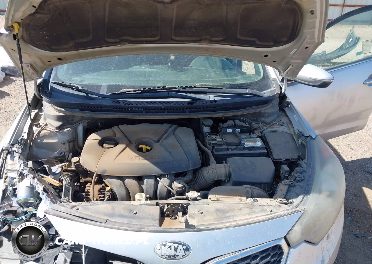 2014 Kia Forte Ex VIN:KNAFX4A86E5195255 - 10