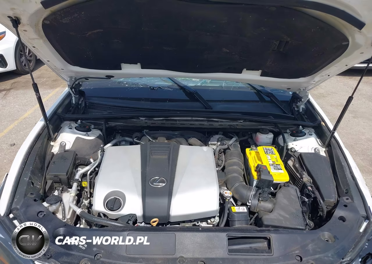 2020 Lexus Es 350 Luxury VIN:58AEZ1B14LU073493 - 10