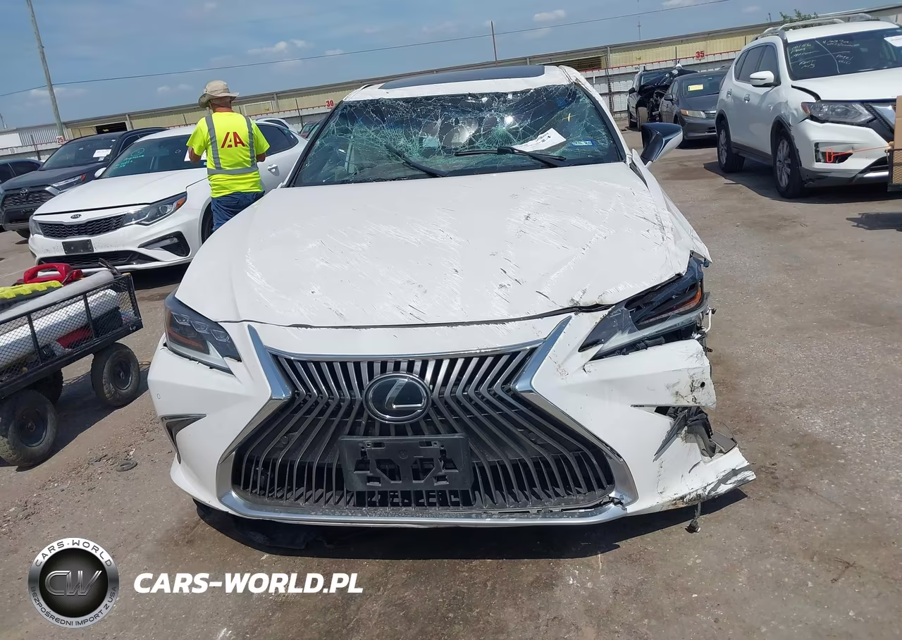 2020 Lexus Es 350 Luxury VIN:58AEZ1B14LU073493 - 12