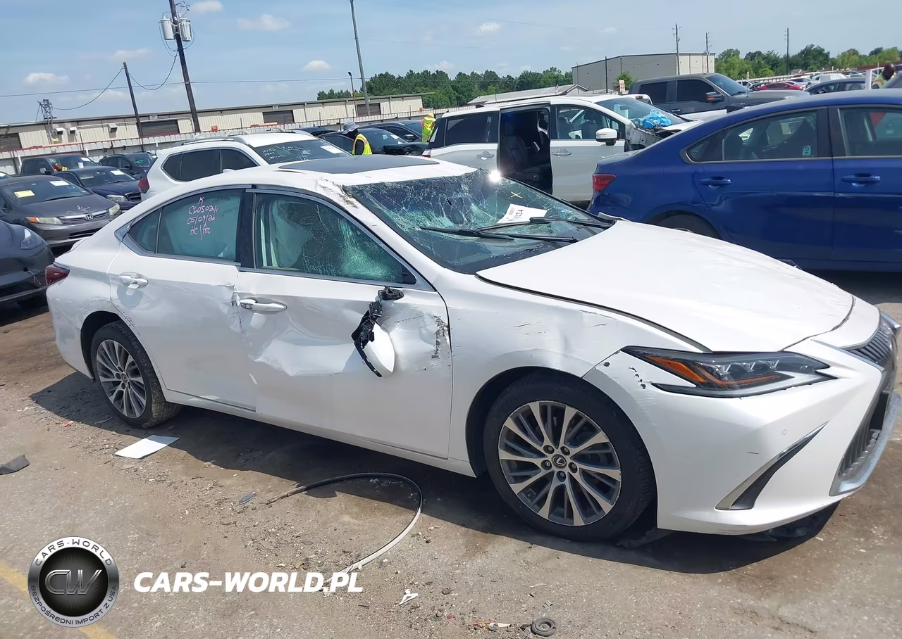 2020 Lexus Es 350 Luxury VIN:58AEZ1B14LU073493 - 13