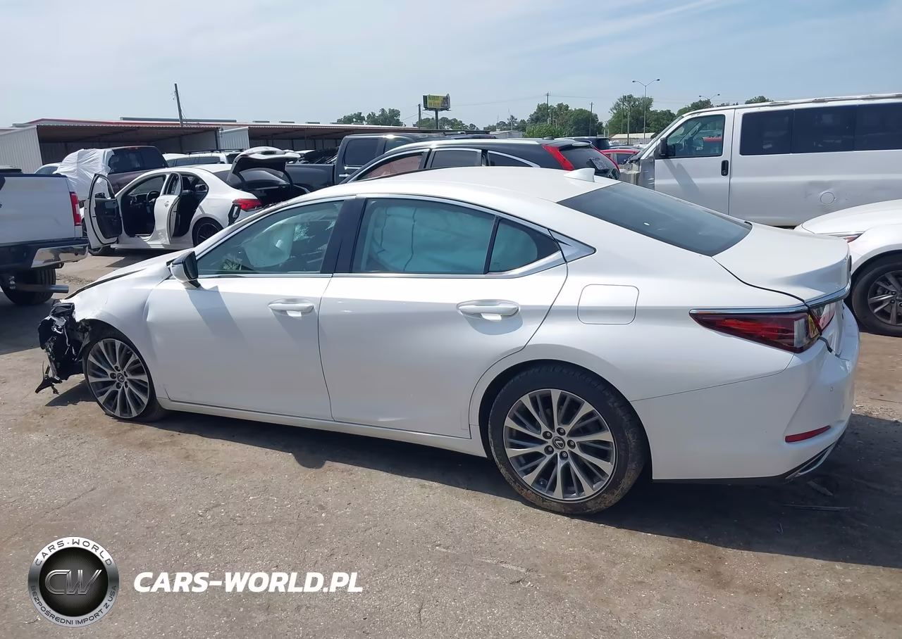 2020 Lexus Es 350 Luxury VIN:58AEZ1B14LU073493 - 14