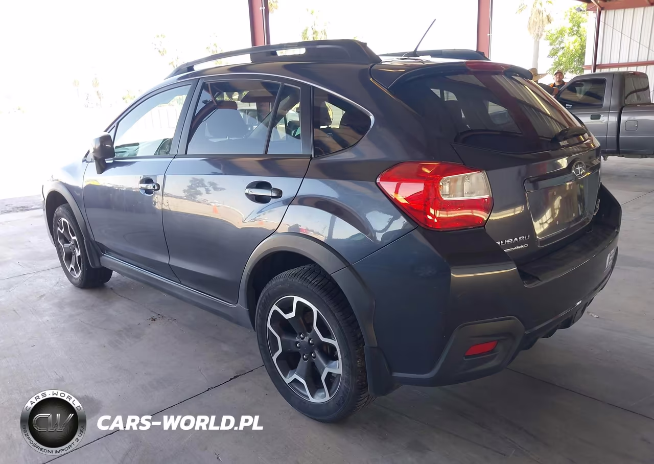 2013 Subaru Xv Crosstrek 2.0I Premium VIN:JF2GPACC6D1889961 - 3
